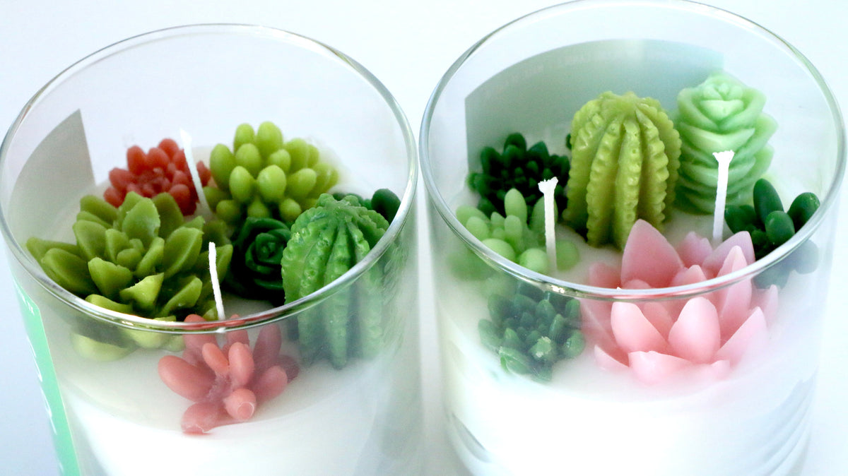 Two glass containers with candle holders shaped like succulents and cacti.