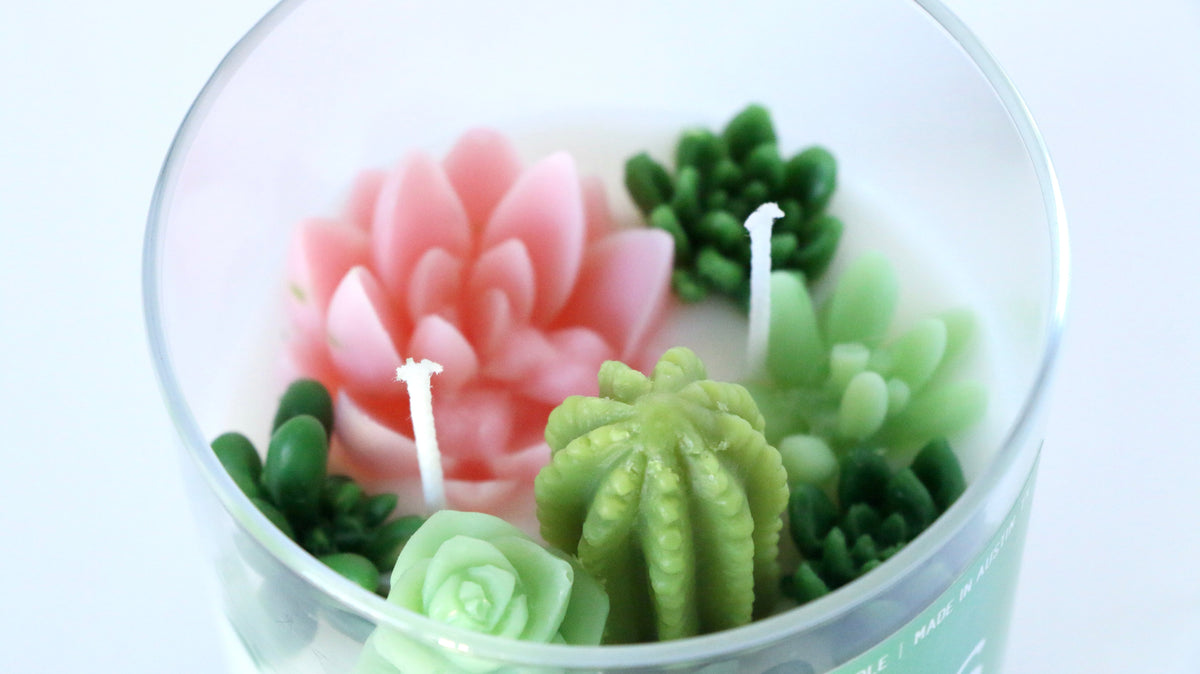 Candle with succulent plant designs in a glass container
