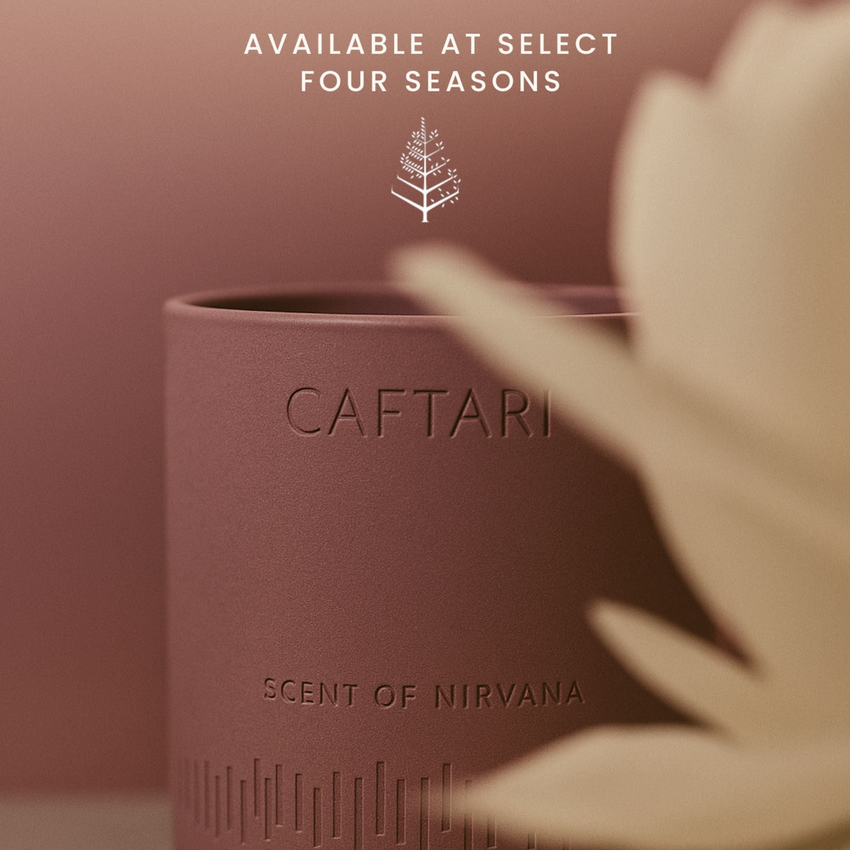 Brown cylindrical container with 'CAFTARI' branding and 'Scent of Nirvana' text, blurred plant in foreground.